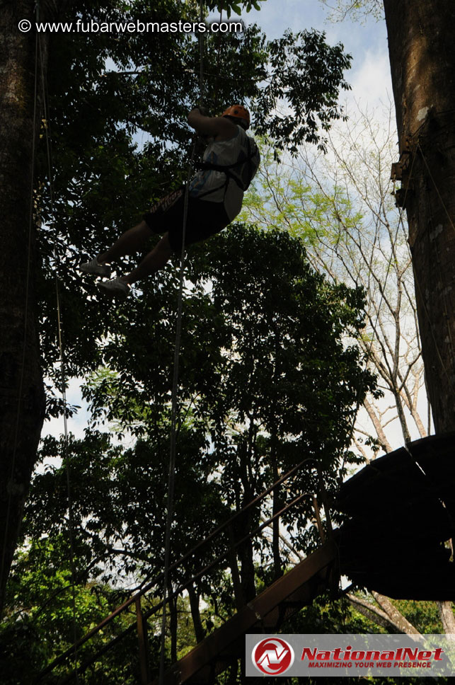 Rainforest Canopy Tours