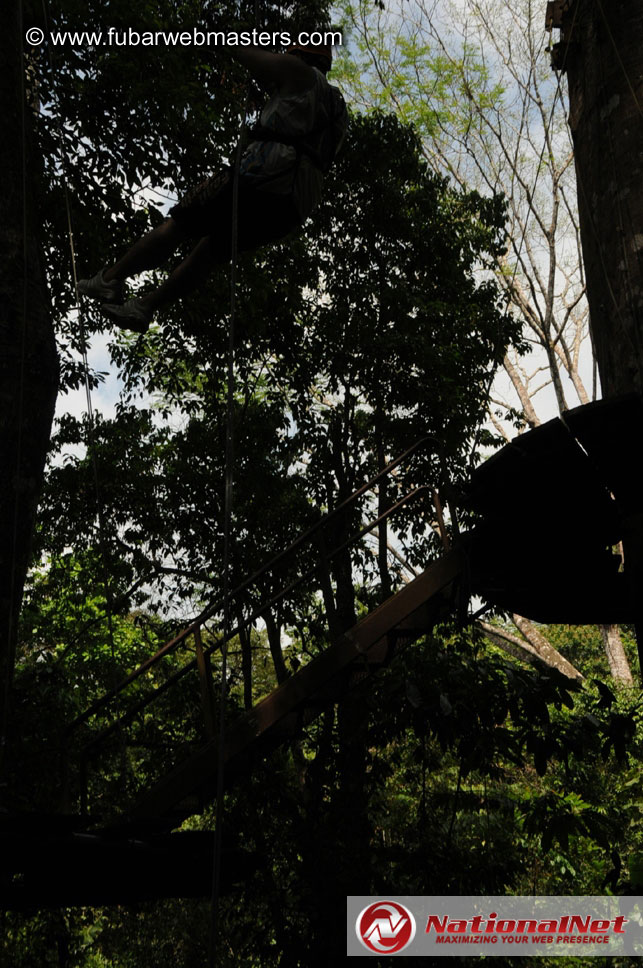 Rainforest Canopy Tours