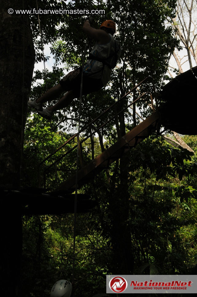 Rainforest Canopy Tours