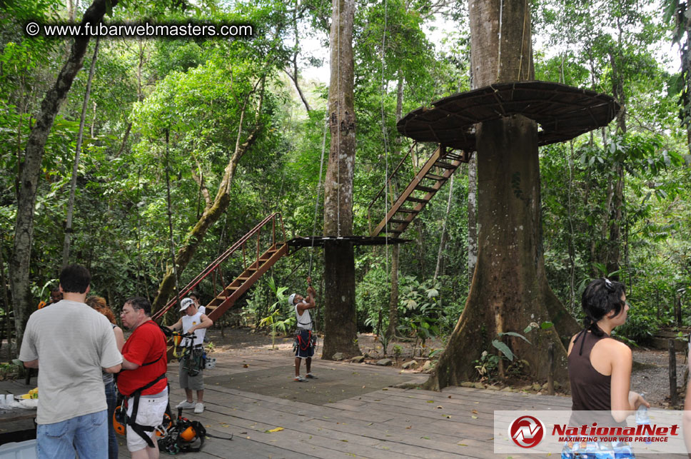 Rainforest Canopy Tours