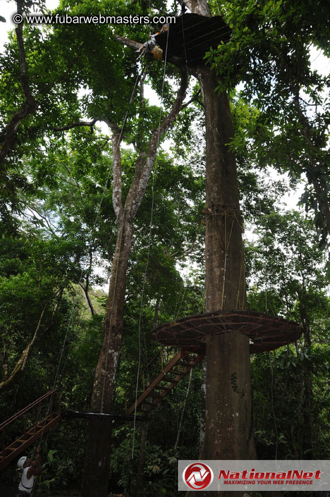 Rainforest Canopy Tours