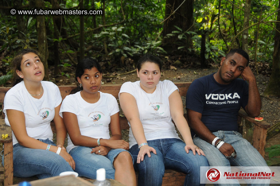 Rainforest Canopy Tours