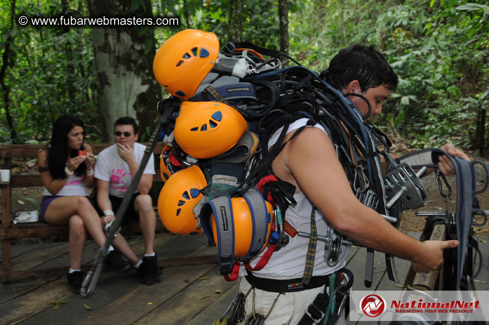 Rainforest Canopy Tours