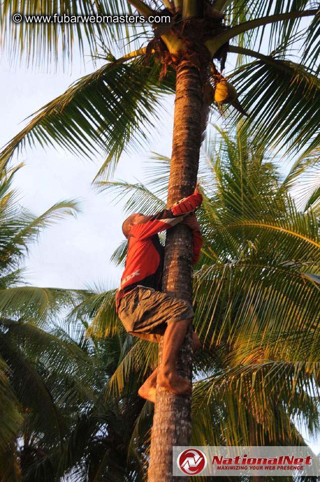 ATV Tours in the Jungle