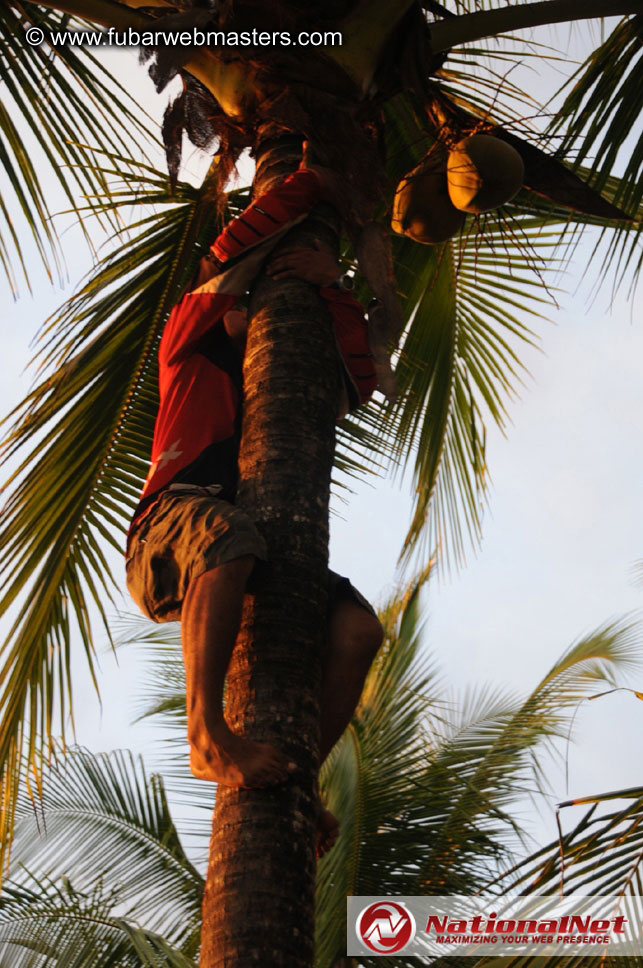 ATV Tours in the Jungle