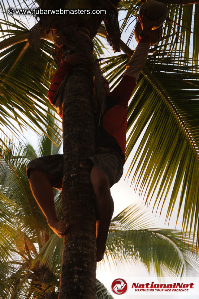 ATV Tours in the Jungle