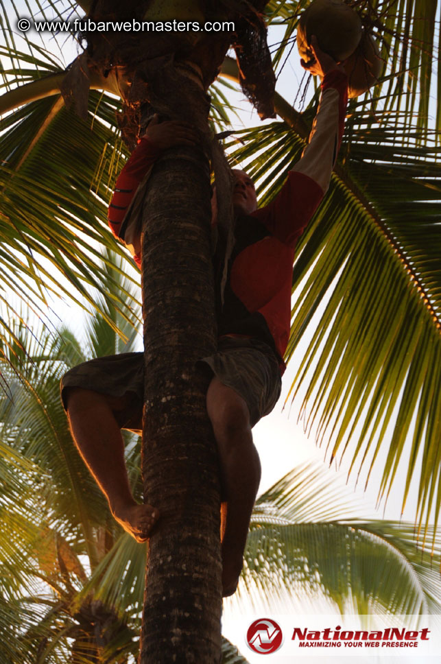 ATV Tours in the Jungle