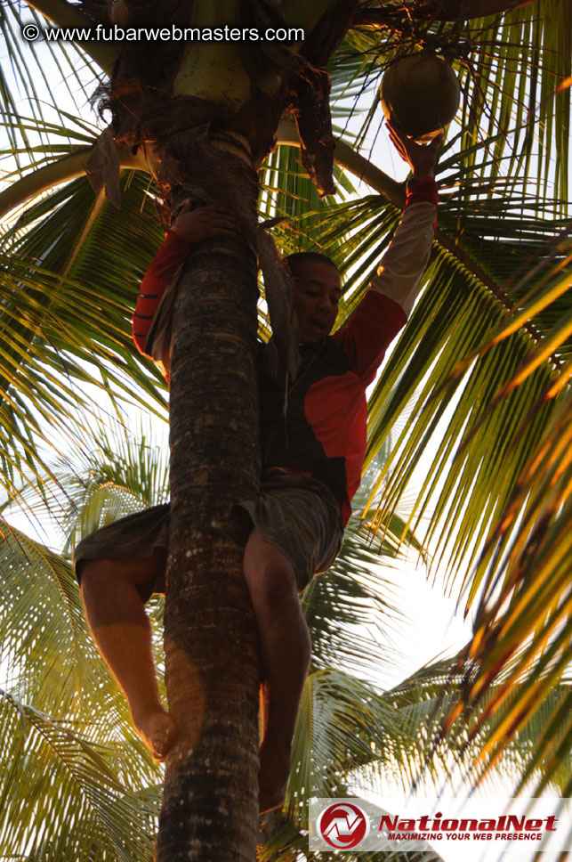 ATV Tours in the Jungle