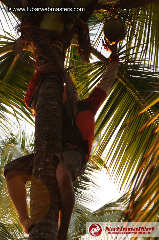 ATV Tours in the Jungle