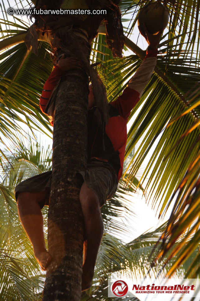 ATV Tours in the Jungle