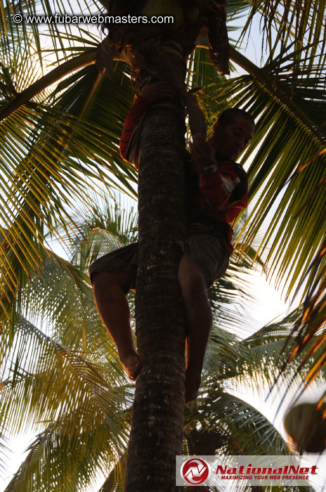 ATV Tours in the Jungle