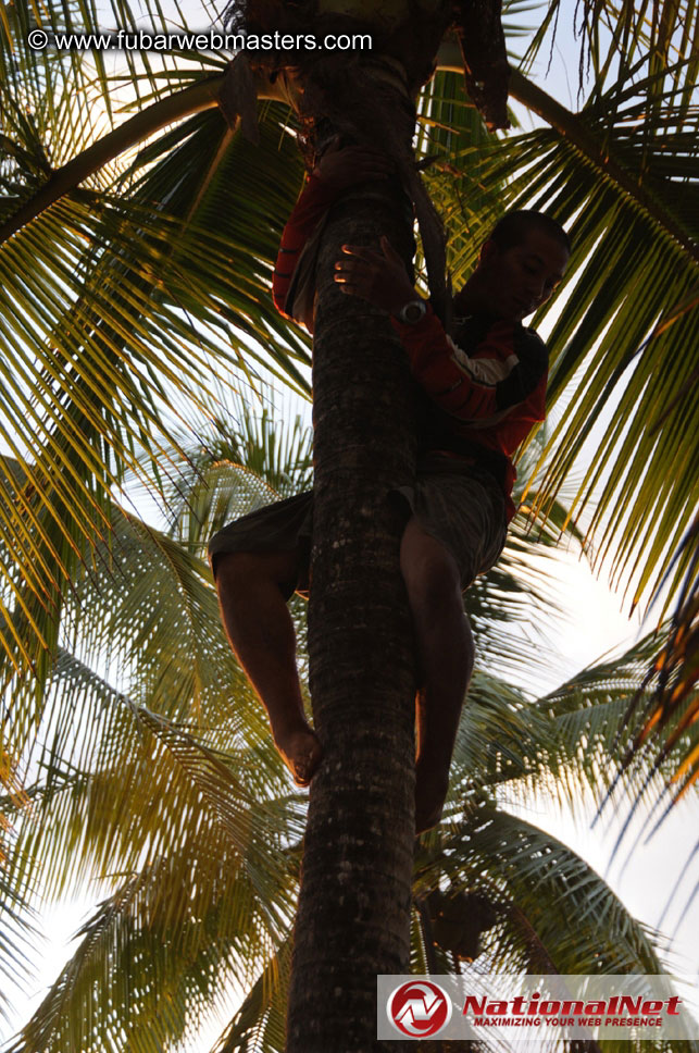 ATV Tours in the Jungle