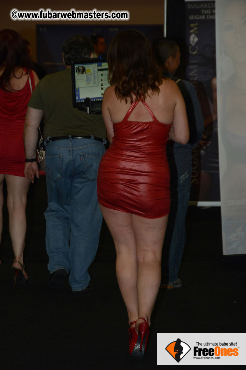 the Exxxotica Show