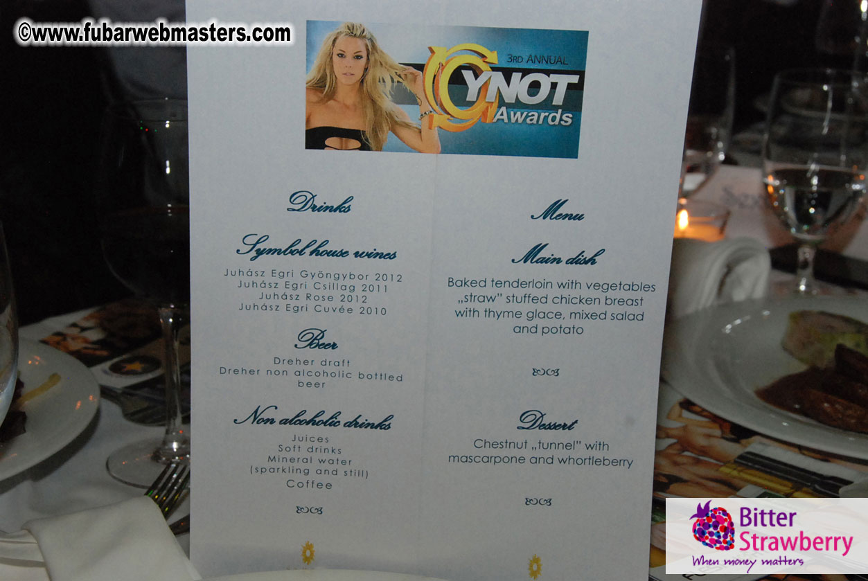 3rd Annual YNot Awards & Dinner