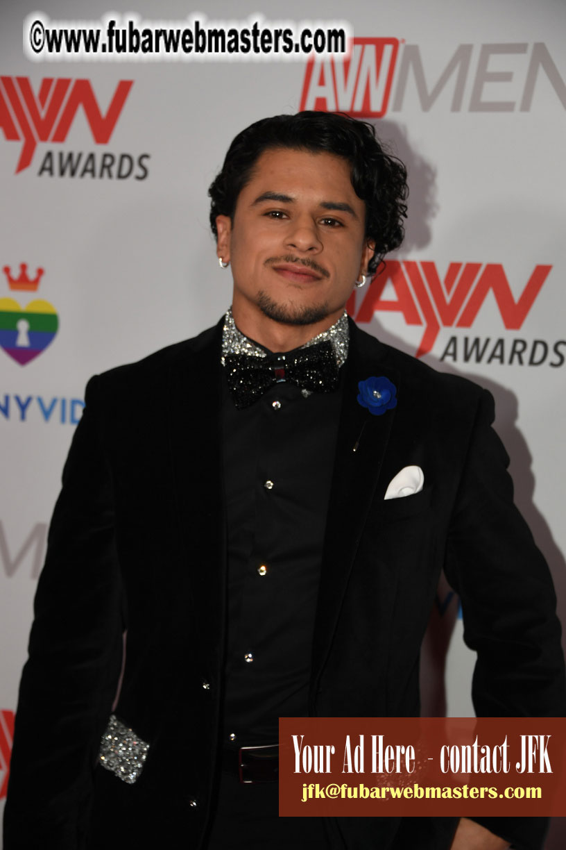 2019 GayVN Awards Red Carpet