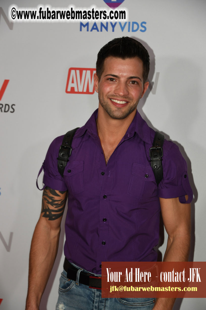 2019 GayVN Awards Red Carpet