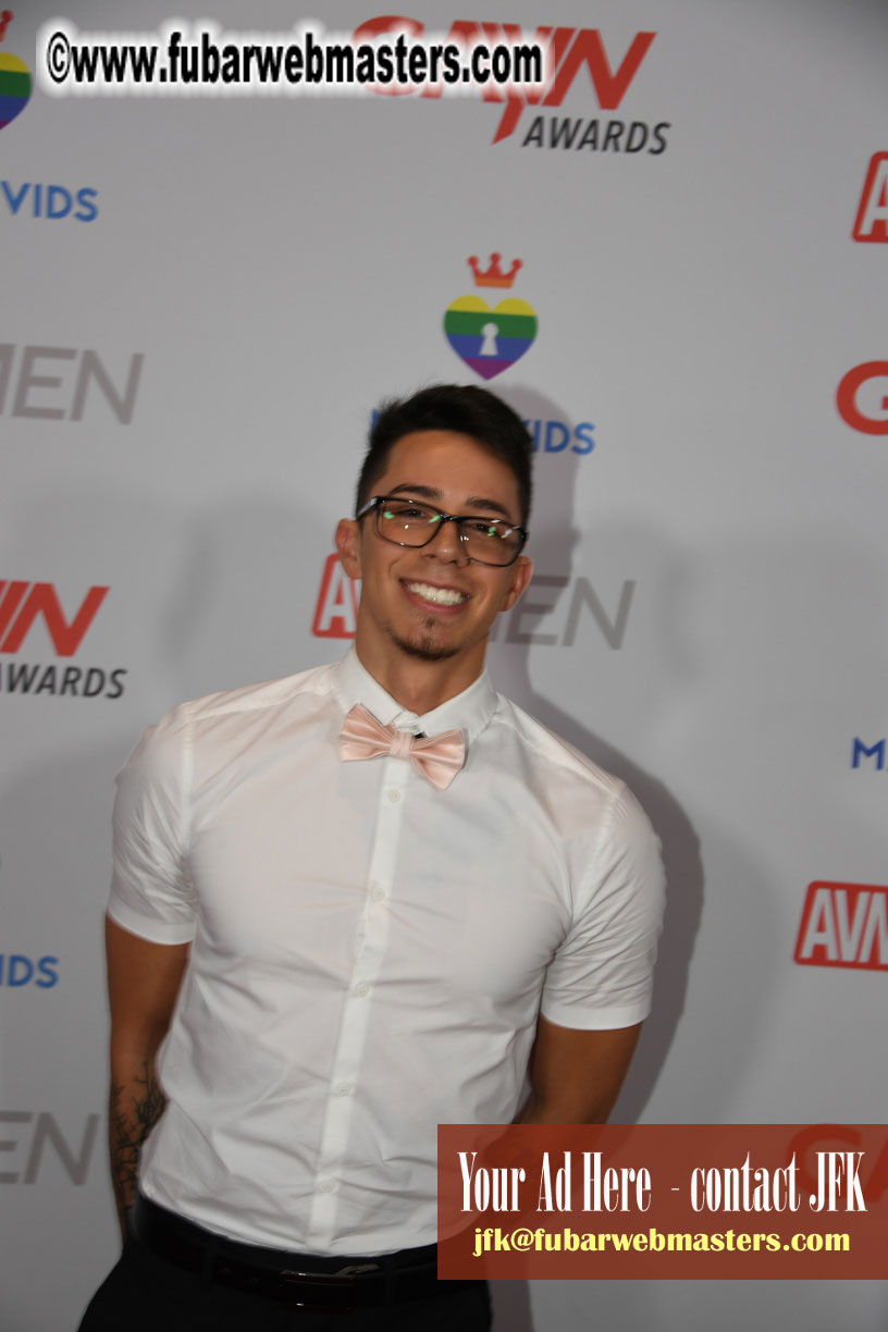 2019 GayVN Awards Red Carpet