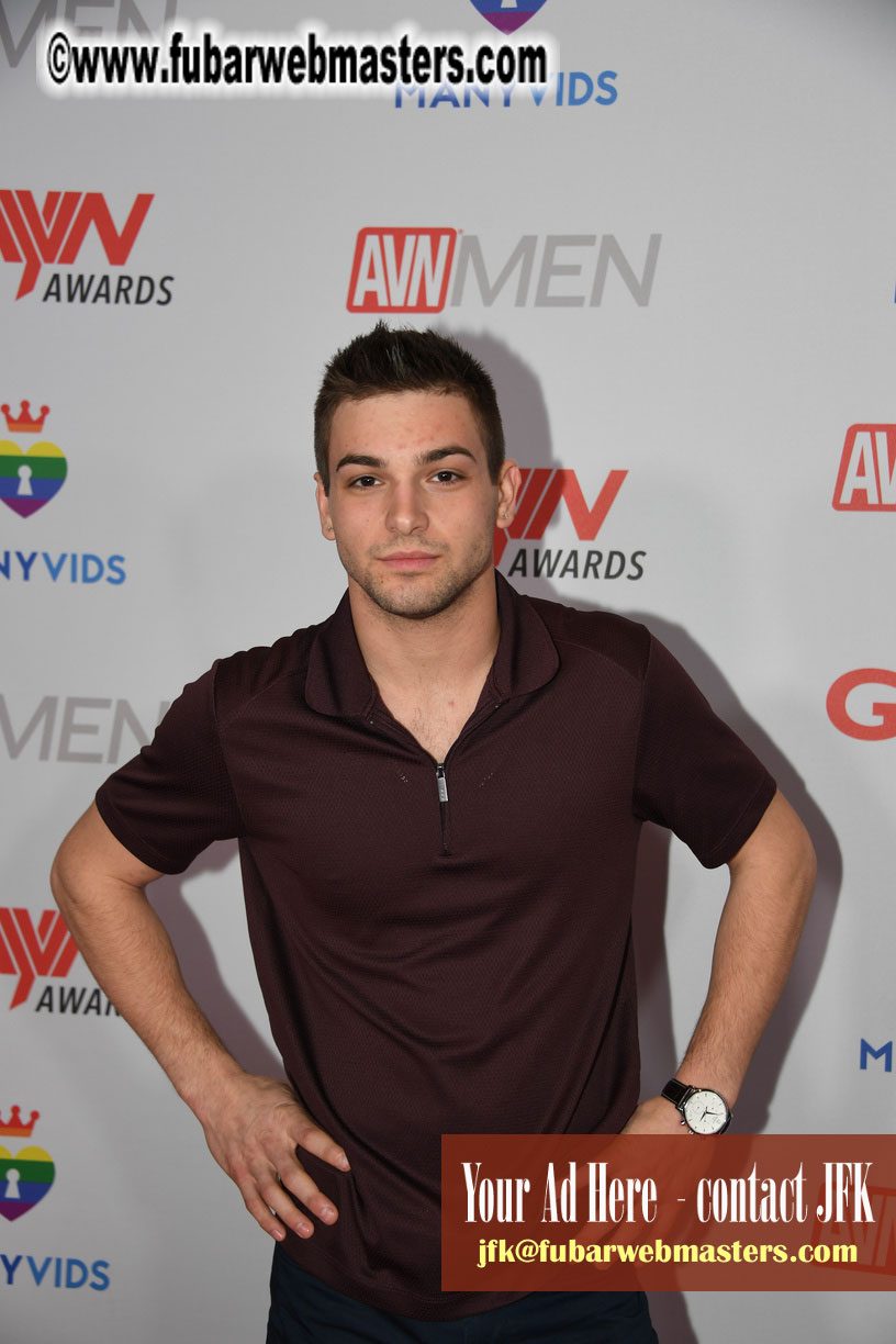 2019 GayVN Awards Red Carpet