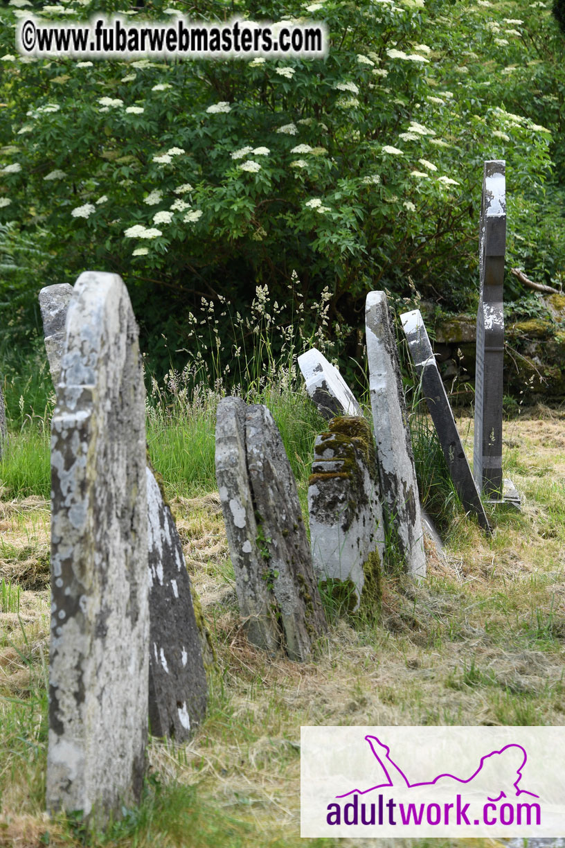  Wicklow Mountains & Glendalough Tour