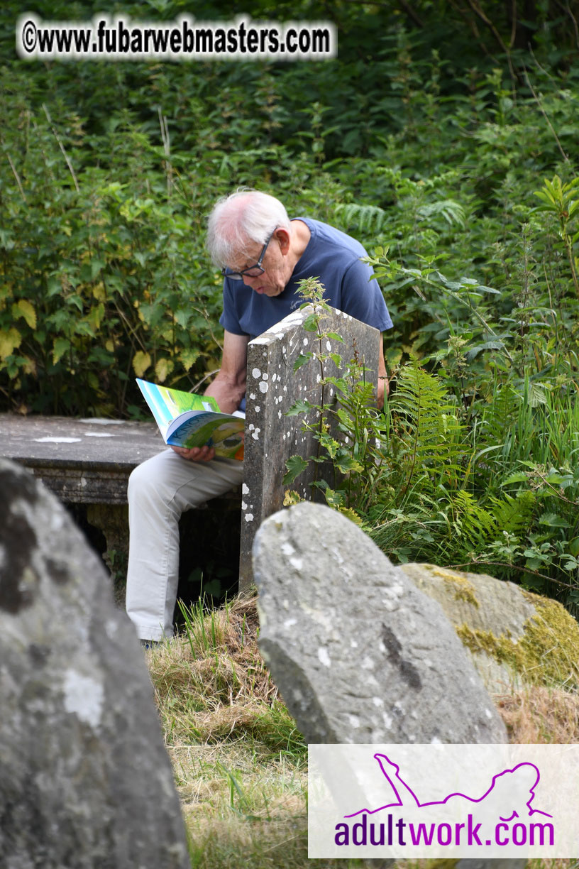  Wicklow Mountains & Glendalough Tour