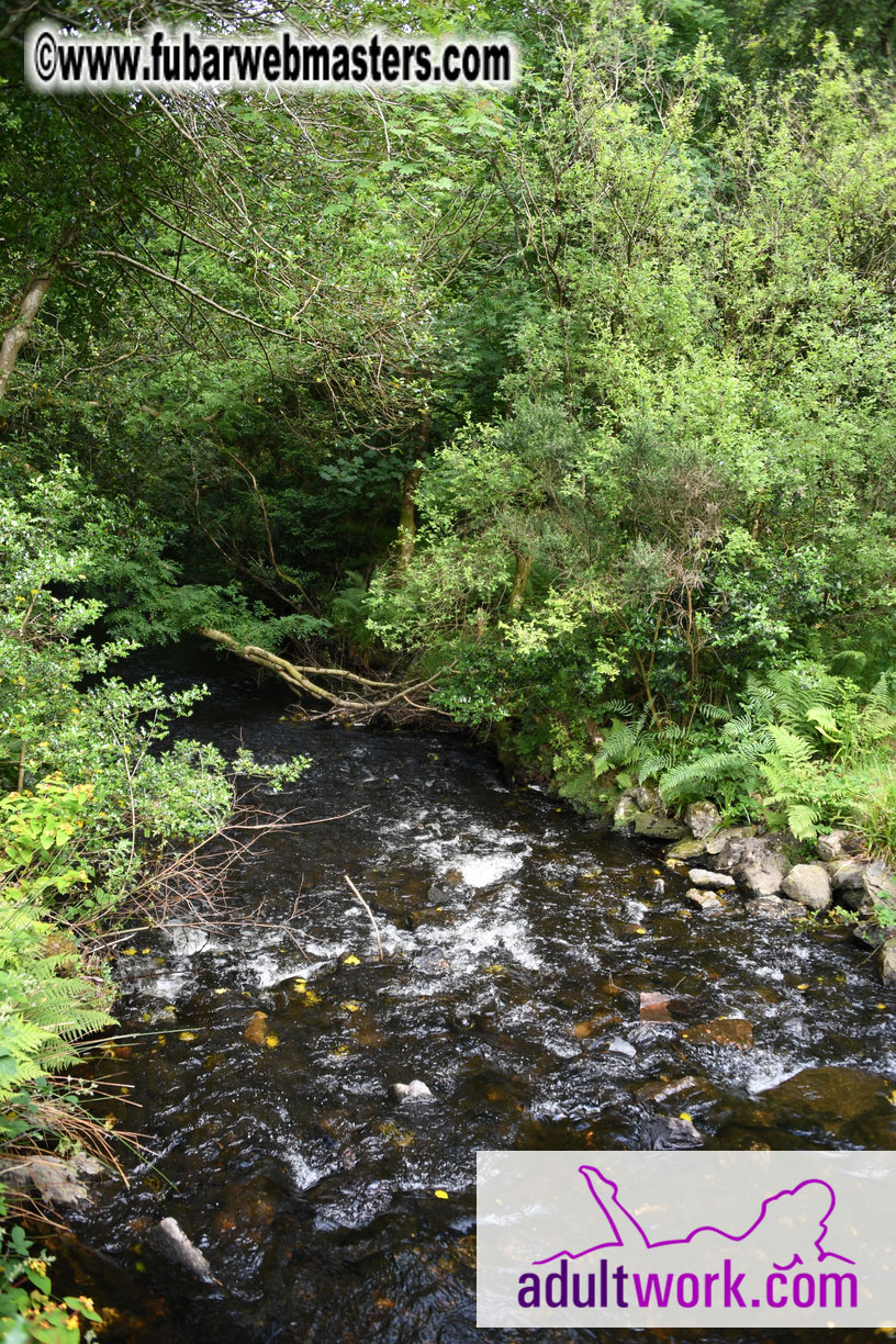  Wicklow Mountains & Glendalough Tour