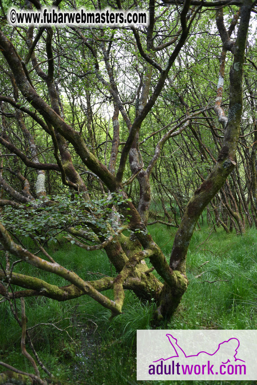  Wicklow Mountains & Glendalough Tour