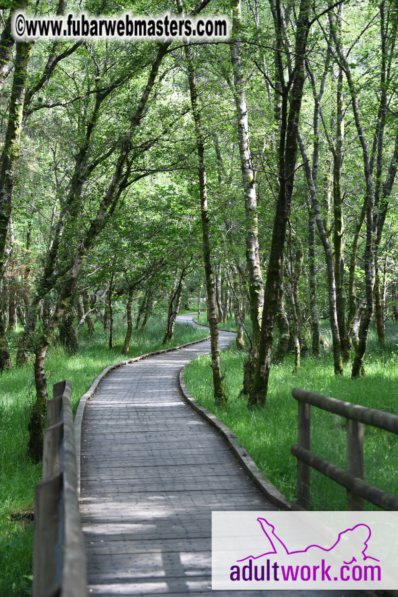  Wicklow Mountains & Glendalough Tour