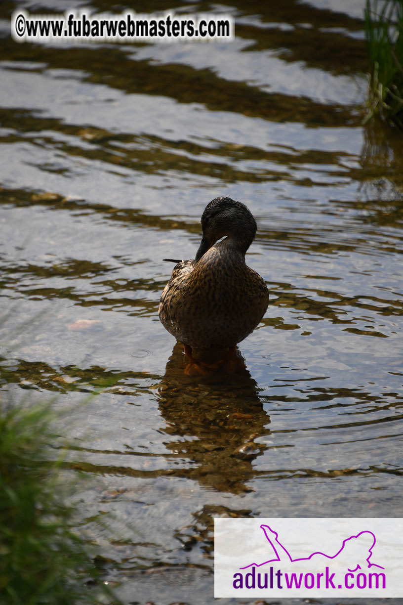  Wicklow Mountains & Glendalough Tour