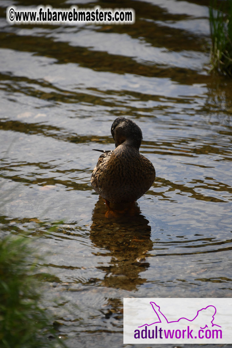  Wicklow Mountains & Glendalough Tour