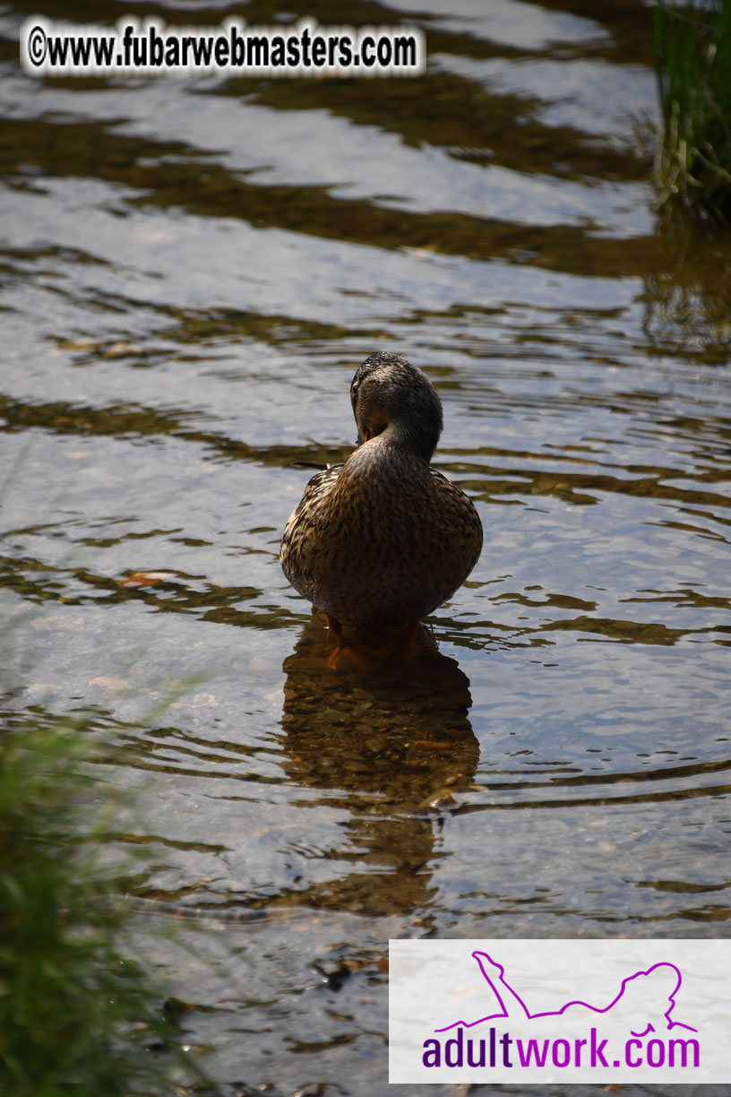  Wicklow Mountains & Glendalough Tour