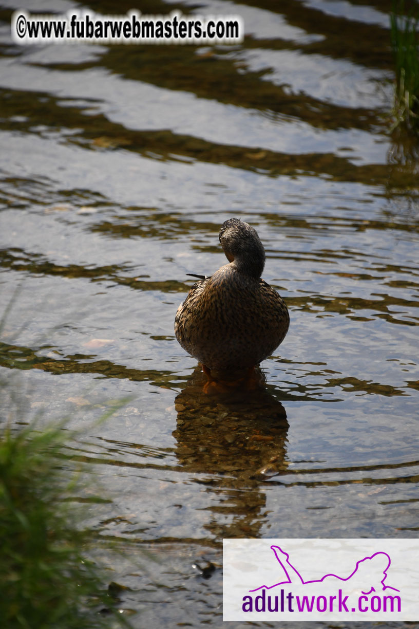  Wicklow Mountains & Glendalough Tour