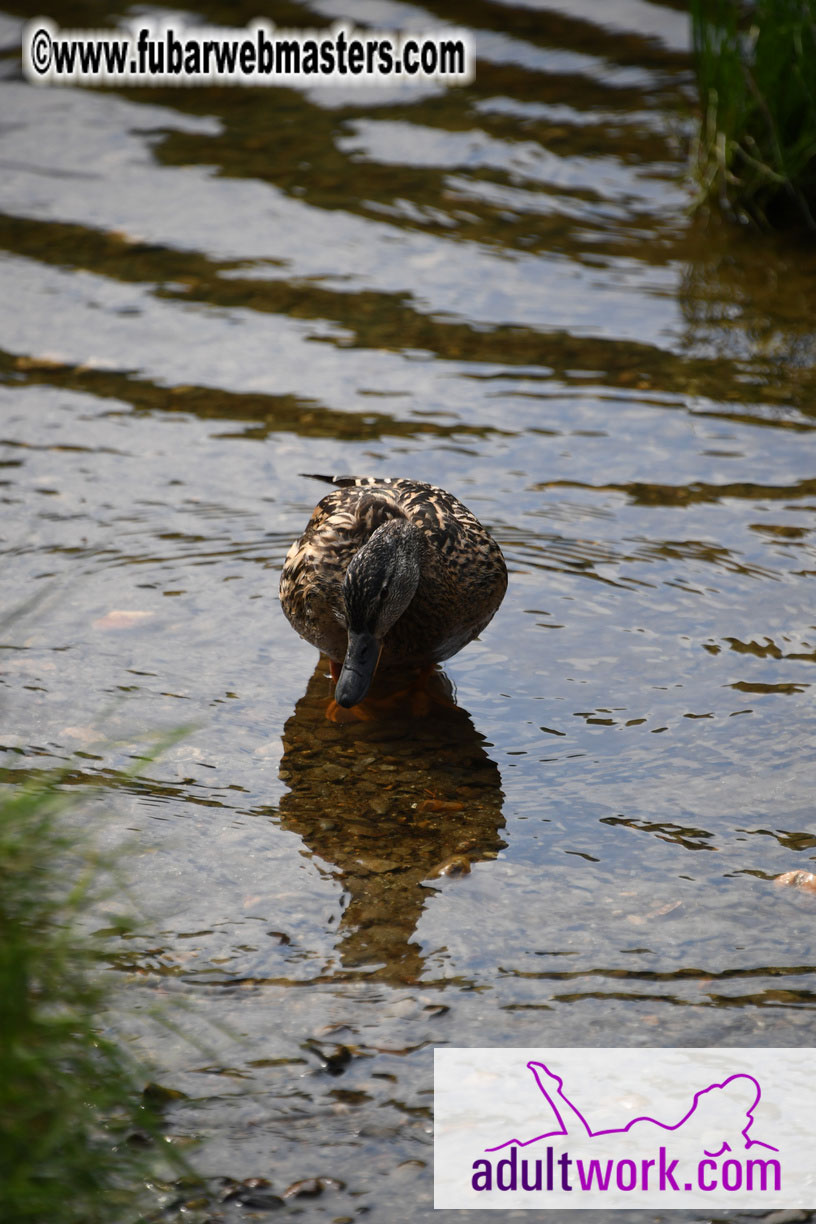  Wicklow Mountains & Glendalough Tour