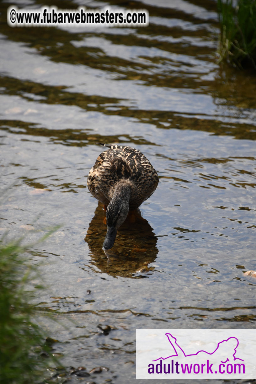  Wicklow Mountains & Glendalough Tour