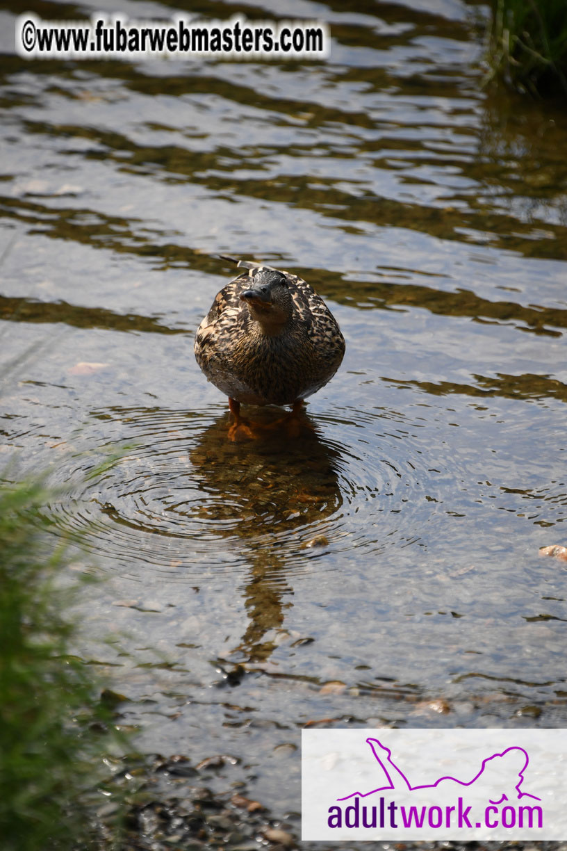  Wicklow Mountains & Glendalough Tour