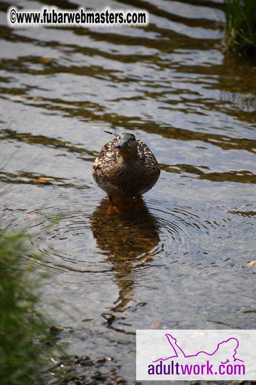  Wicklow Mountains & Glendalough Tour