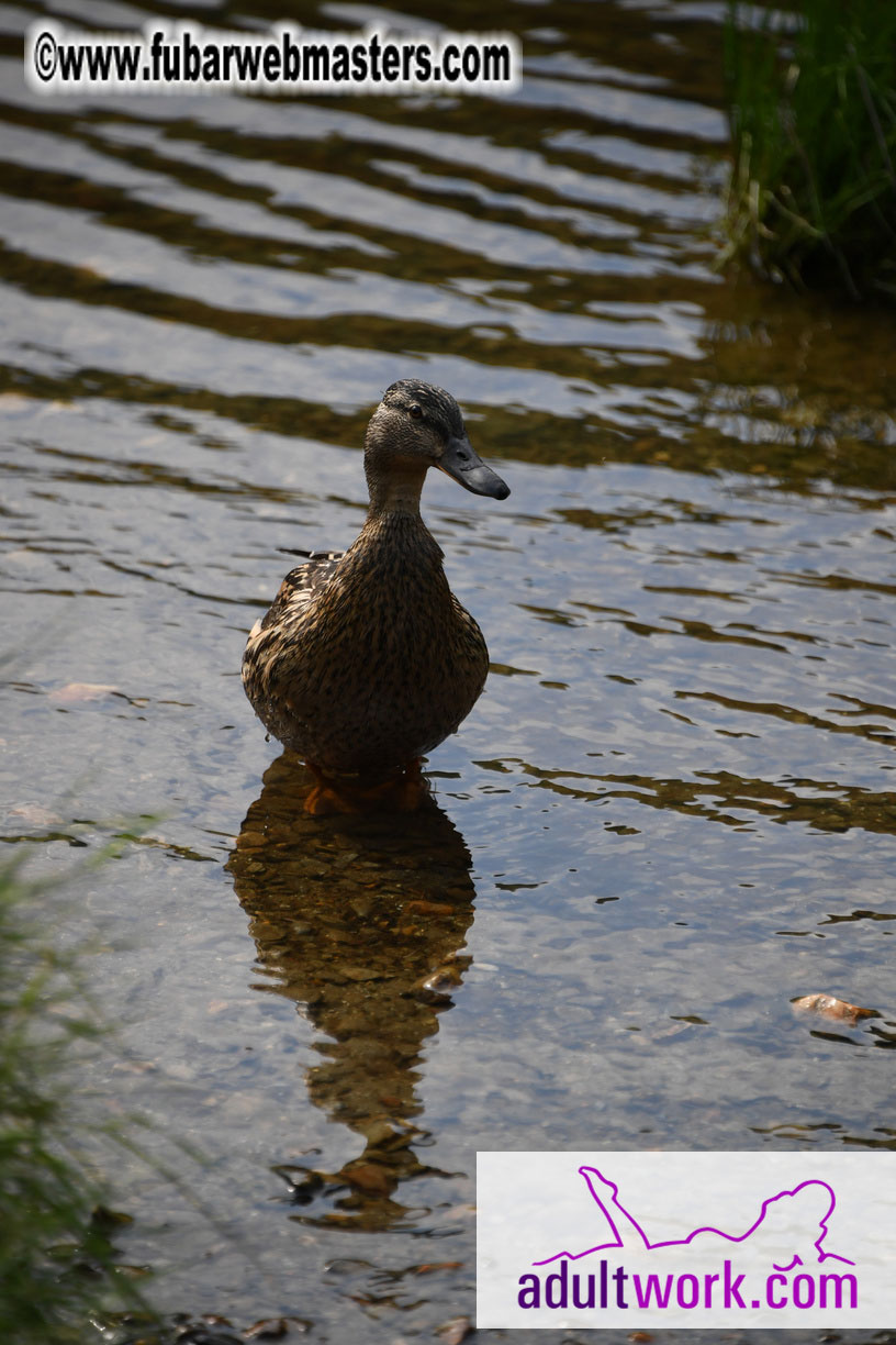  Wicklow Mountains & Glendalough Tour