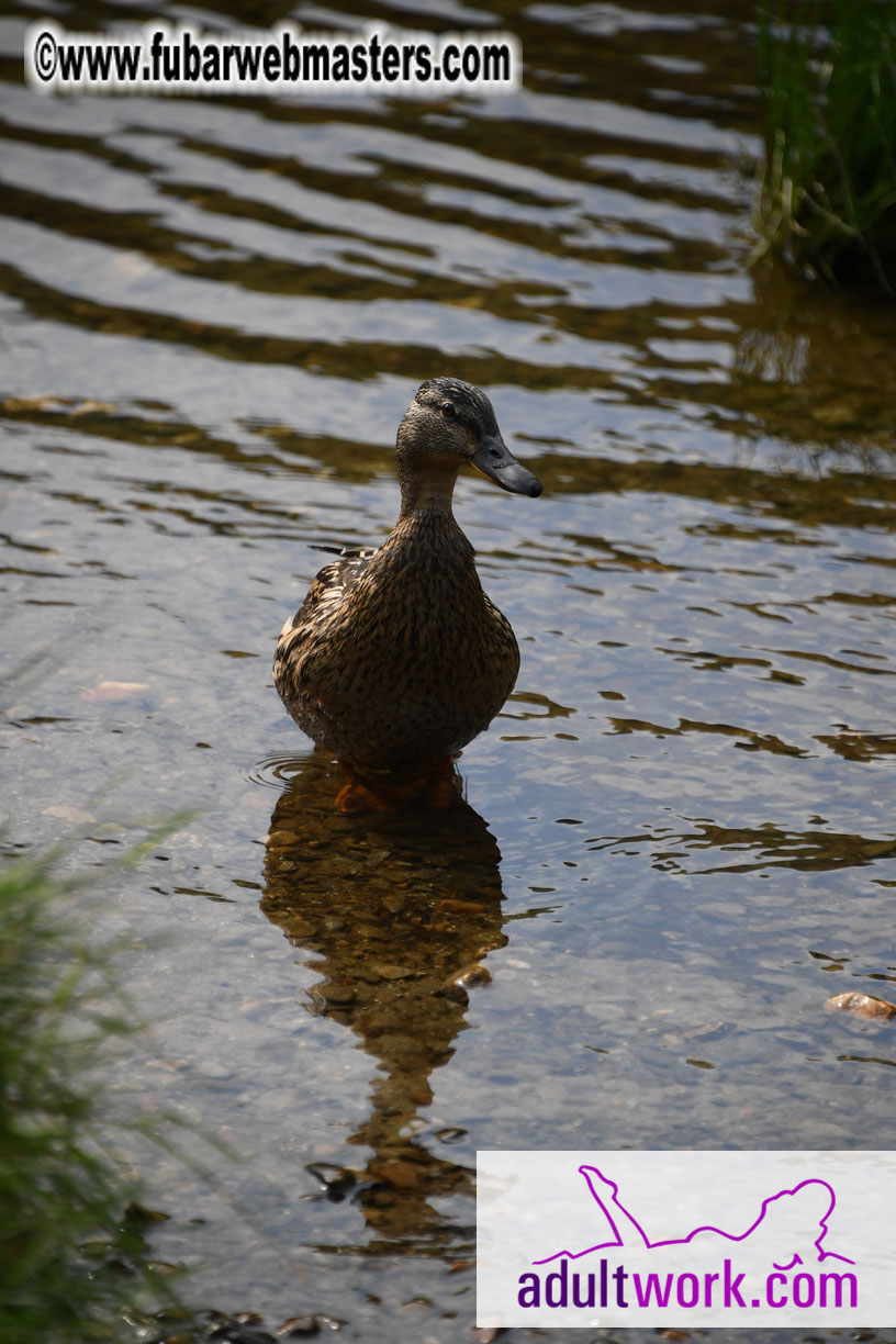  Wicklow Mountains & Glendalough Tour