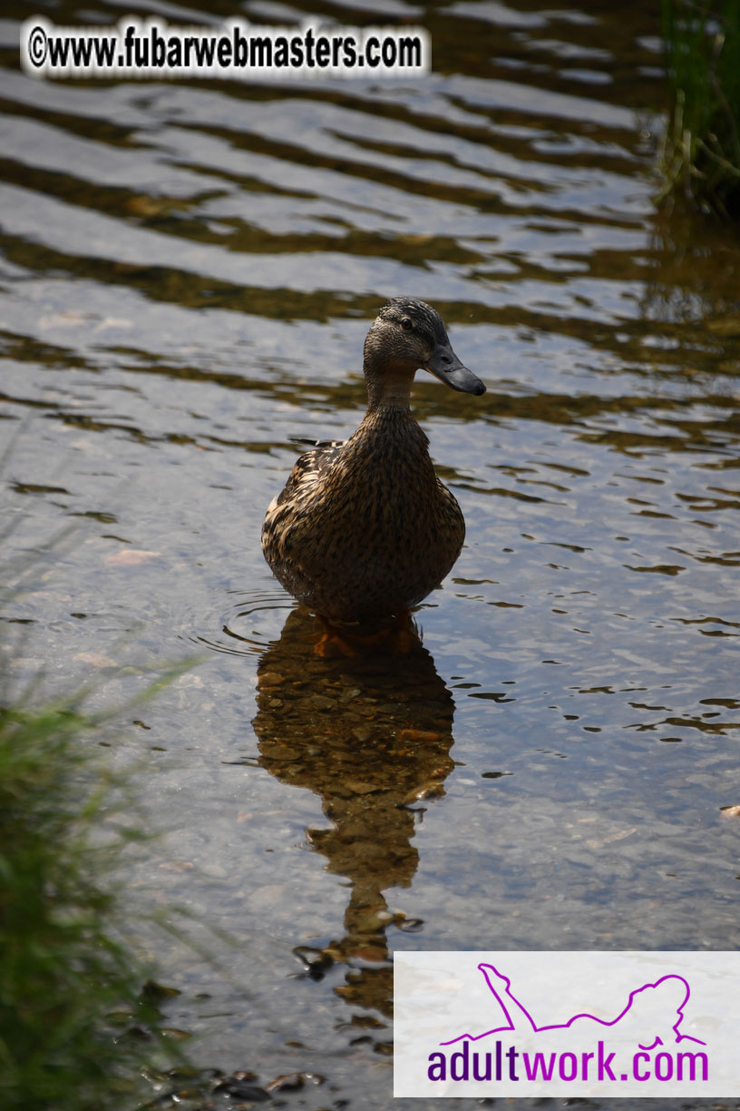  Wicklow Mountains & Glendalough Tour