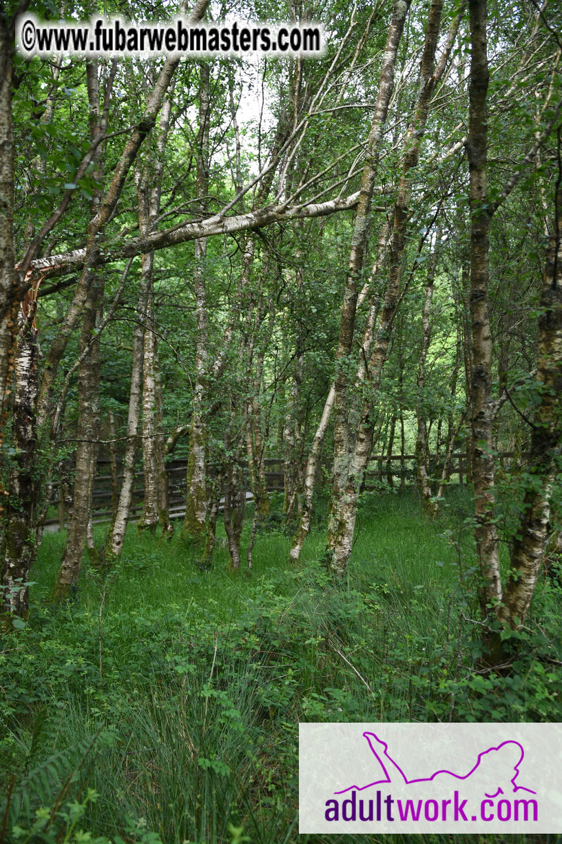  Wicklow Mountains & Glendalough Tour