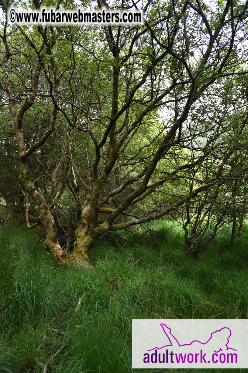  Wicklow Mountains & Glendalough Tour