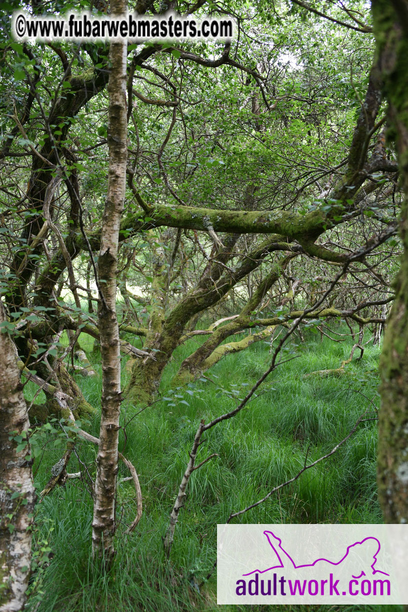  Wicklow Mountains & Glendalough Tour