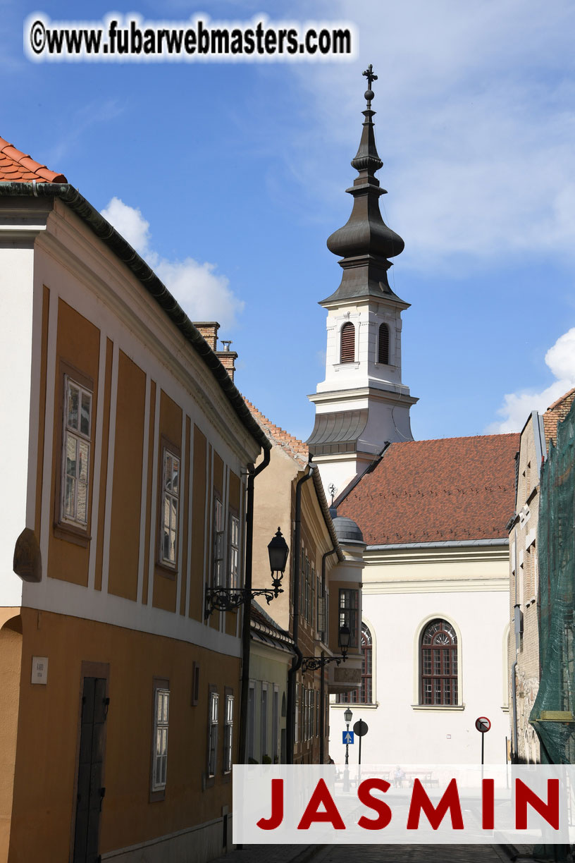 City Sightseeing and Lunch @ Halasz Bastya 