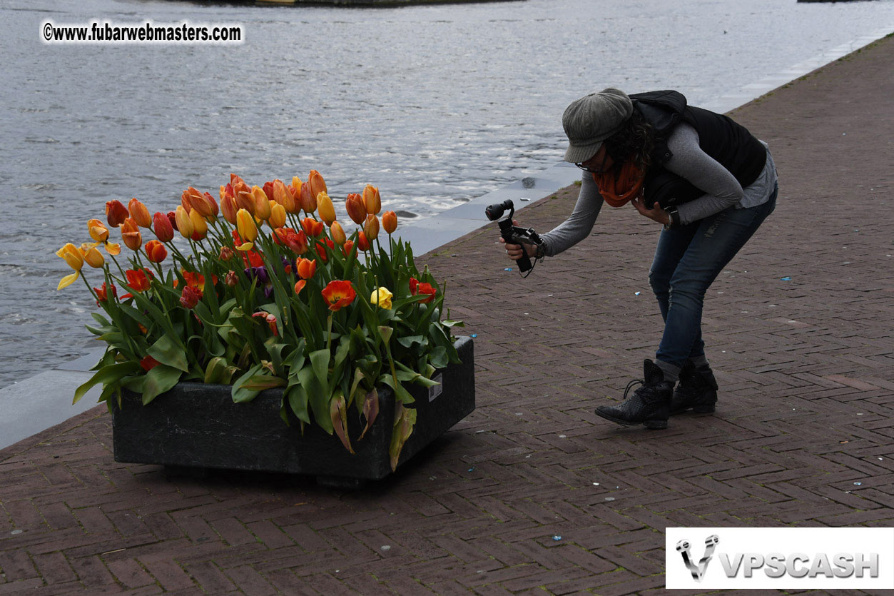 Kings Day in Amsterdam