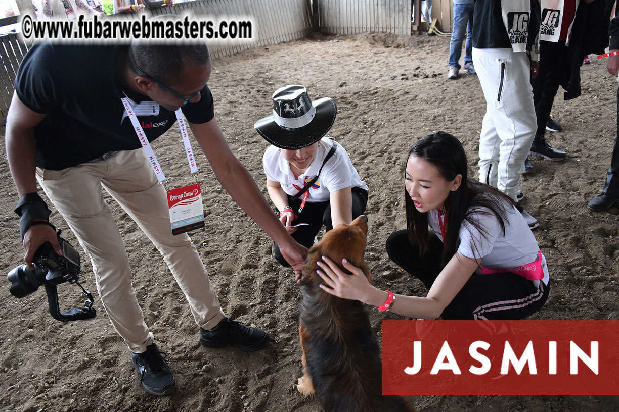 Colunbian Style Horseback Riding Tour