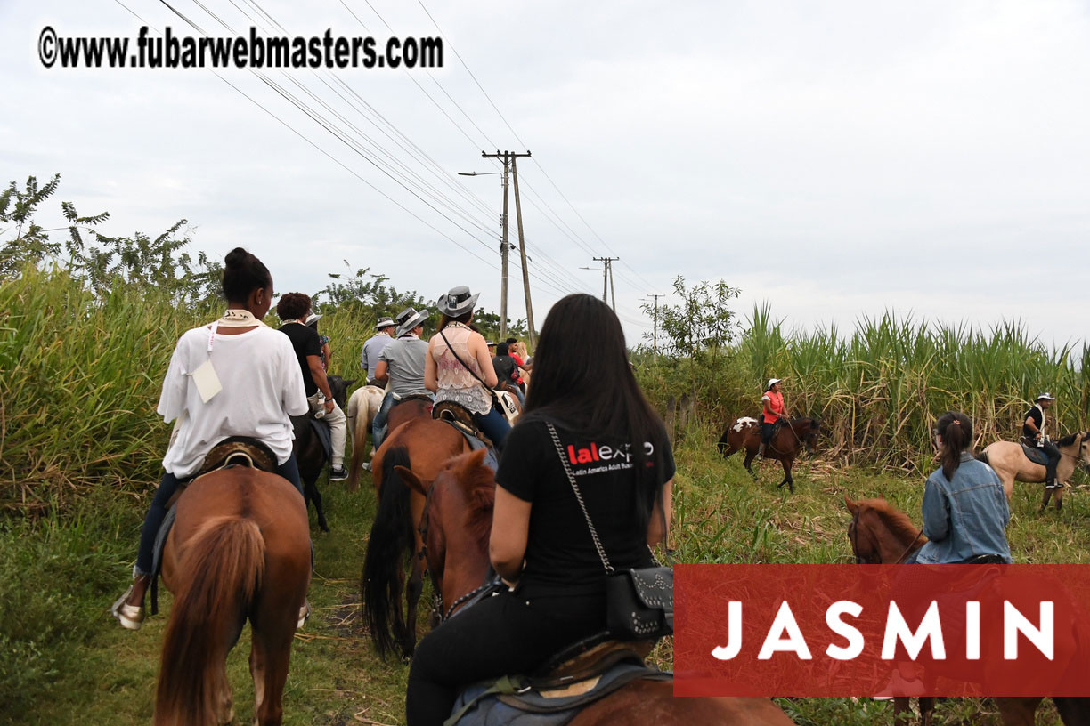 Colunbian Style Horseback Riding Tour