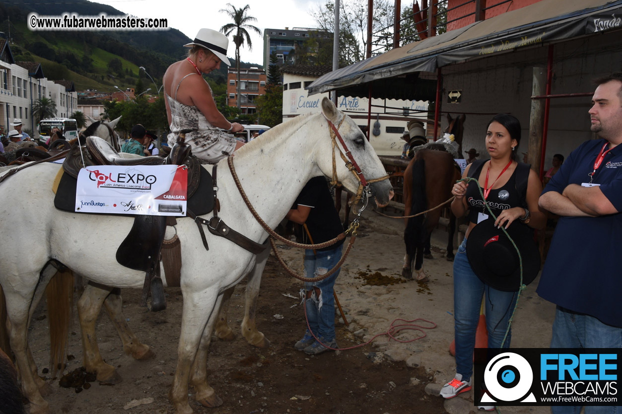 Horseback Riding Colombian style tour