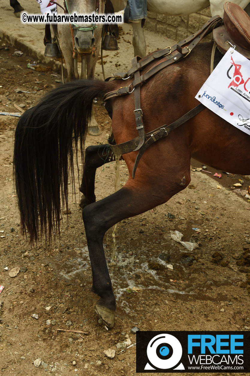 Horseback Riding Colombian style tour