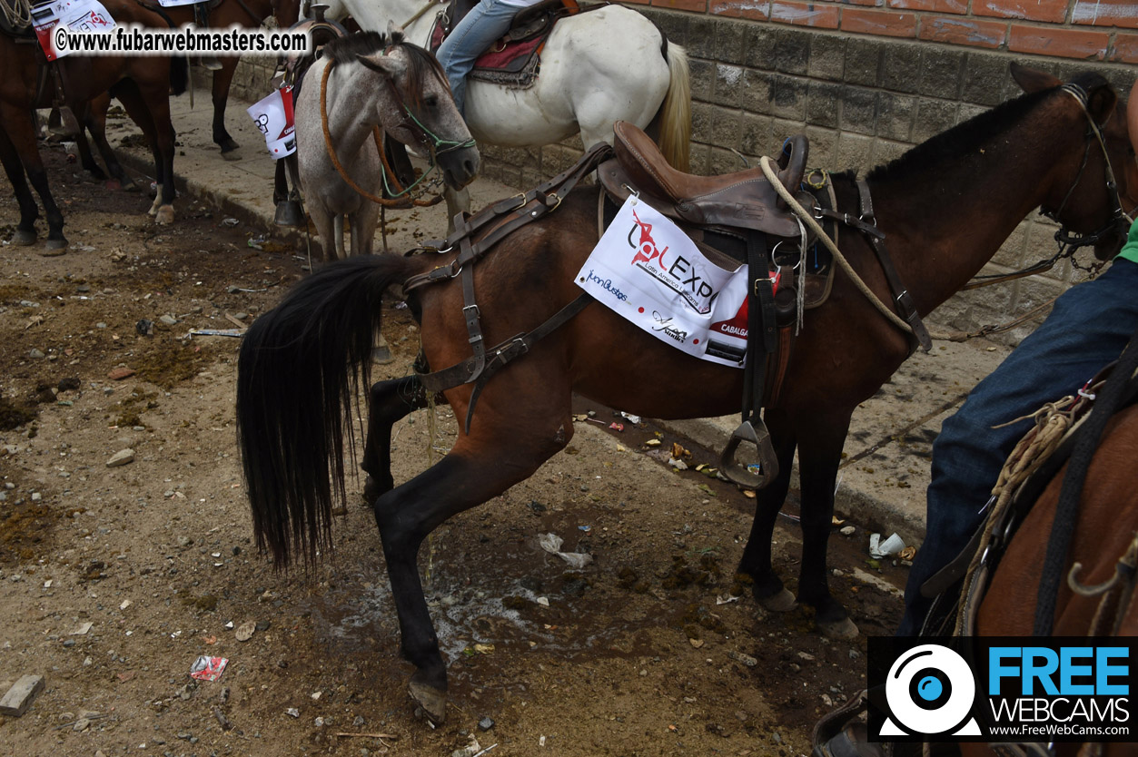 Horseback Riding Colombian style tour