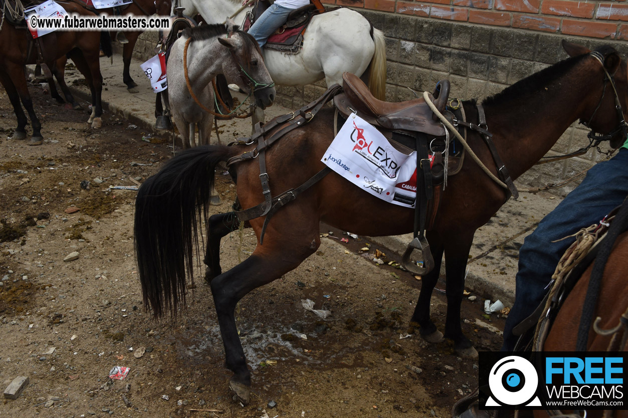 Horseback Riding Colombian style tour