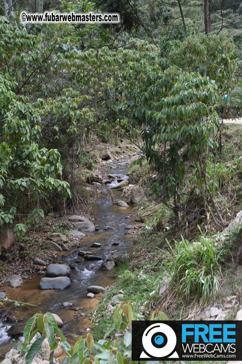 Horseback Riding Colombian style tour